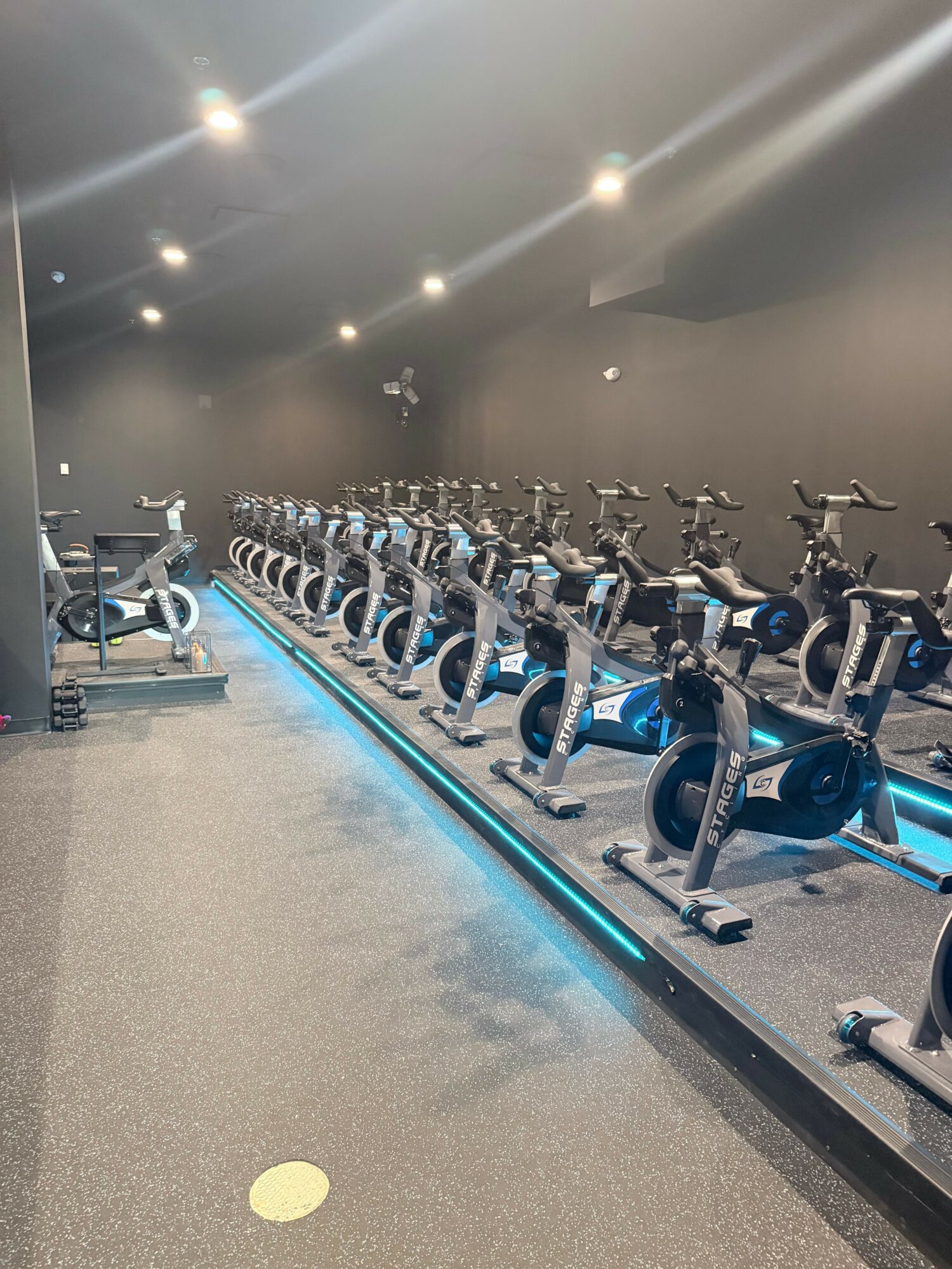 Row of stationary exercise bikes in a gym, illuminated by ceiling lights, with a blue line on the floor.