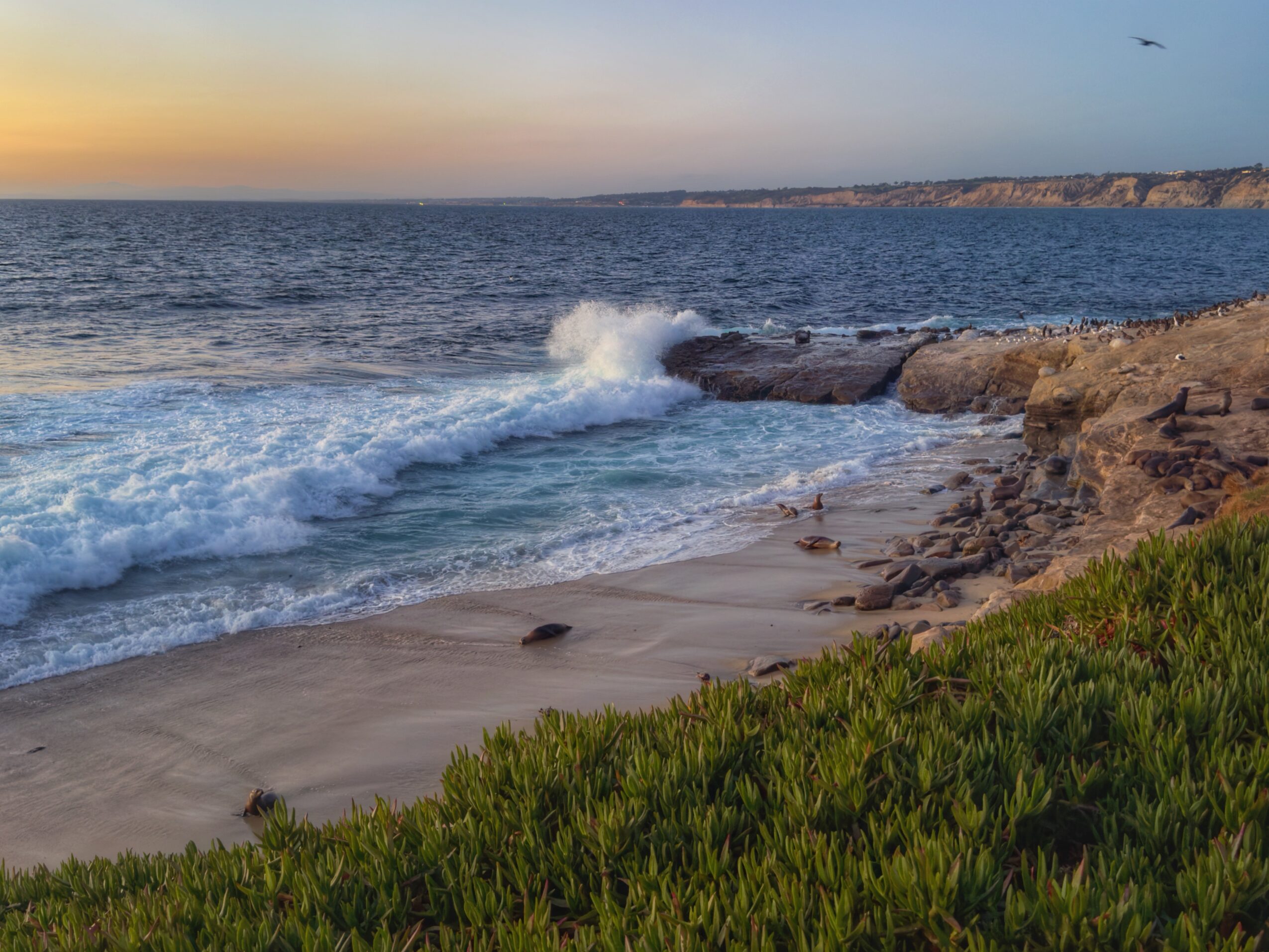 Ocean waves break against a rocky shoreline at sunset, with beach sand and green coastal plants in the foreground.