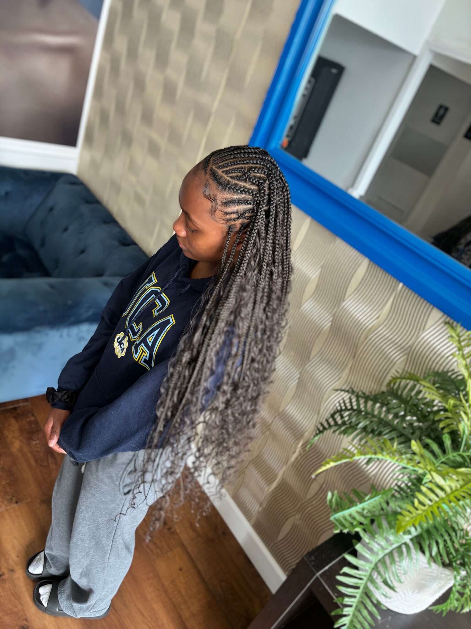 Person with long braided hair stands beside a blue sofa and a potted fern.